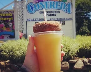 Hand holding a fresh apple cider donut and cup of cider